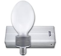 Induction Bulb Replacement Lamps