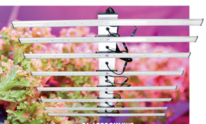 Full Spectrum LED Grow Lights - L series